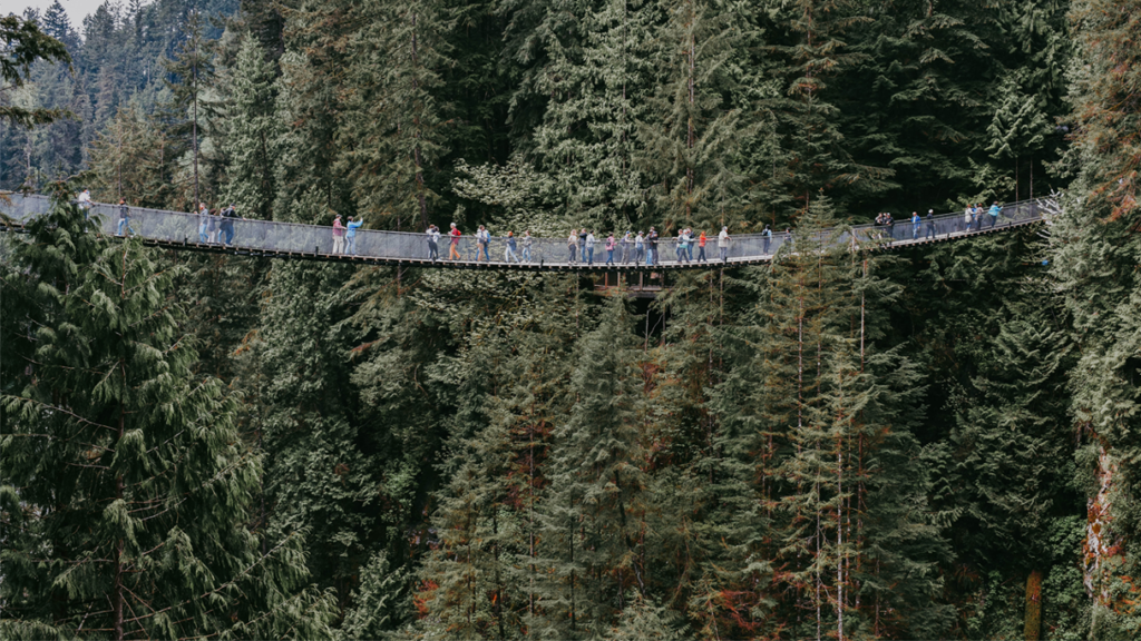 People on a hanging bridge